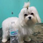 Kim Dennison - @maylees_story - Instagram
