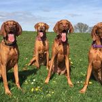 Kim Dent - @kim.dent.79 - Instagram
