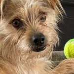 Kimberly Depew - @sparkyeddiejack - Instagram