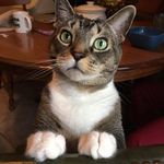 Kimberly Depew-Niezgoda - @kimberlyniezgoda - Instagram