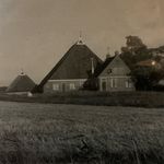 Kim de Vries - @boerderij_de_oudehoeve - Instagram