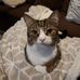 Kim DeVries - Facebook