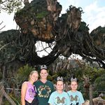 Kim Crews Dickey - @kimdickey - Instagram