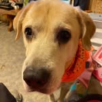 Kim Dickey - @veryshymom67 - Instagram