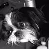 kimdieterle - @kimdieterle - TikTok