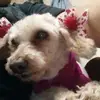 Kim Dillon - @kimdillon6 - TikTok