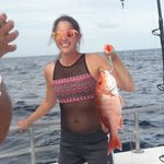 Kim Dillon - @kimdillon522 - Instagram