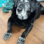 Kimberly Dimick - @kdimick1014 - Instagram