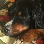 Kim Dodge - @kim_dodge5 - Instagram