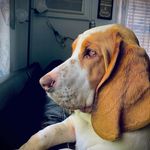 Kim Dodge Smith - @kimster70 - Instagram