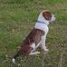 Kim Dombrowski - Facebook