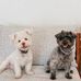 Donald Kim - Facebook