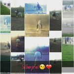 Alinera-kim Donner - @alina_silber_17 - Instagram