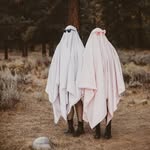 Kim Donner - @wildliferkim - Instagram