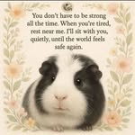 Kim Donner - @kim_donner - Instagram