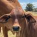 Kim Donner - Facebook