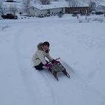 Kim Donner Gilliam - @dumberly2 - Instagram