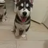 Kim Dorris - @kim.dorris - TikTok