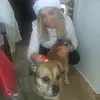 Kim Doucet - @kim.doucet3 - TikTok