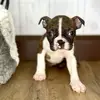 itsmenotyou - @kimdouglass58 - TikTok