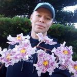 Kim Bruun Dreyer - @orchidsforkim - Instagram