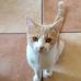 Kim Dreyer - Facebook