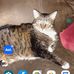 Kim Driggers - Facebook