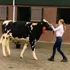 Kim Drost - @kimdrost_ - TikTok