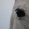 kimberleydrost839 - @kimberleydrost839 - TikTok