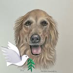 Kim DuPrey - @kim.duprey - Instagram