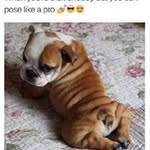 Kim Durrant - @kadurrant - Instagram