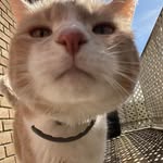 Kim Dutcher - @rringerr09 - Instagram