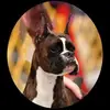 Kim Dye1 - @kimdye10 - TikTok