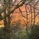 kimearle123 - @kimearle123 - Instagram