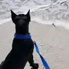 Kim Early - @kim..229 - TikTok