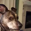 Riley - @kimearly32 - TikTok
