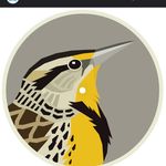 Kim Eaves Holloway - @meadowlarkvintage66 - Instagram