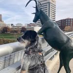 Kim Egbert - @kimmykay32 - Instagram