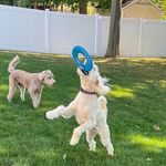 Kim Rodgers Egger - @kimegger - Instagram