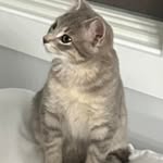 Kim Eldred Holka - @kjeldredholka - Instagram
