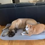 Kim Henderson Eldred - @kimi2w - Instagram