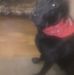 Kim Elmore - Facebook
