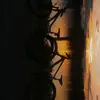 Kim 🤙 - @kim.engel6 - TikTok