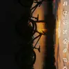 Kim Engel - @kim.engel45 - TikTok