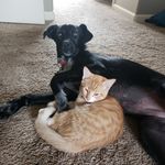 Kim Engler - @winston.kali - Instagram