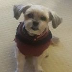 Kim Engler - @kim.engler.967 - Instagram