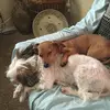 user4544031845362 - @kimerdman62 - TikTok