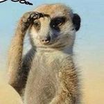 Kim Erdmann - @kimcy74 - Instagram