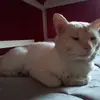 kimesparza840 - @kimesparza840 - TikTok