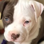 Kim Etheridge - @kim.etheridge.900 - Instagram